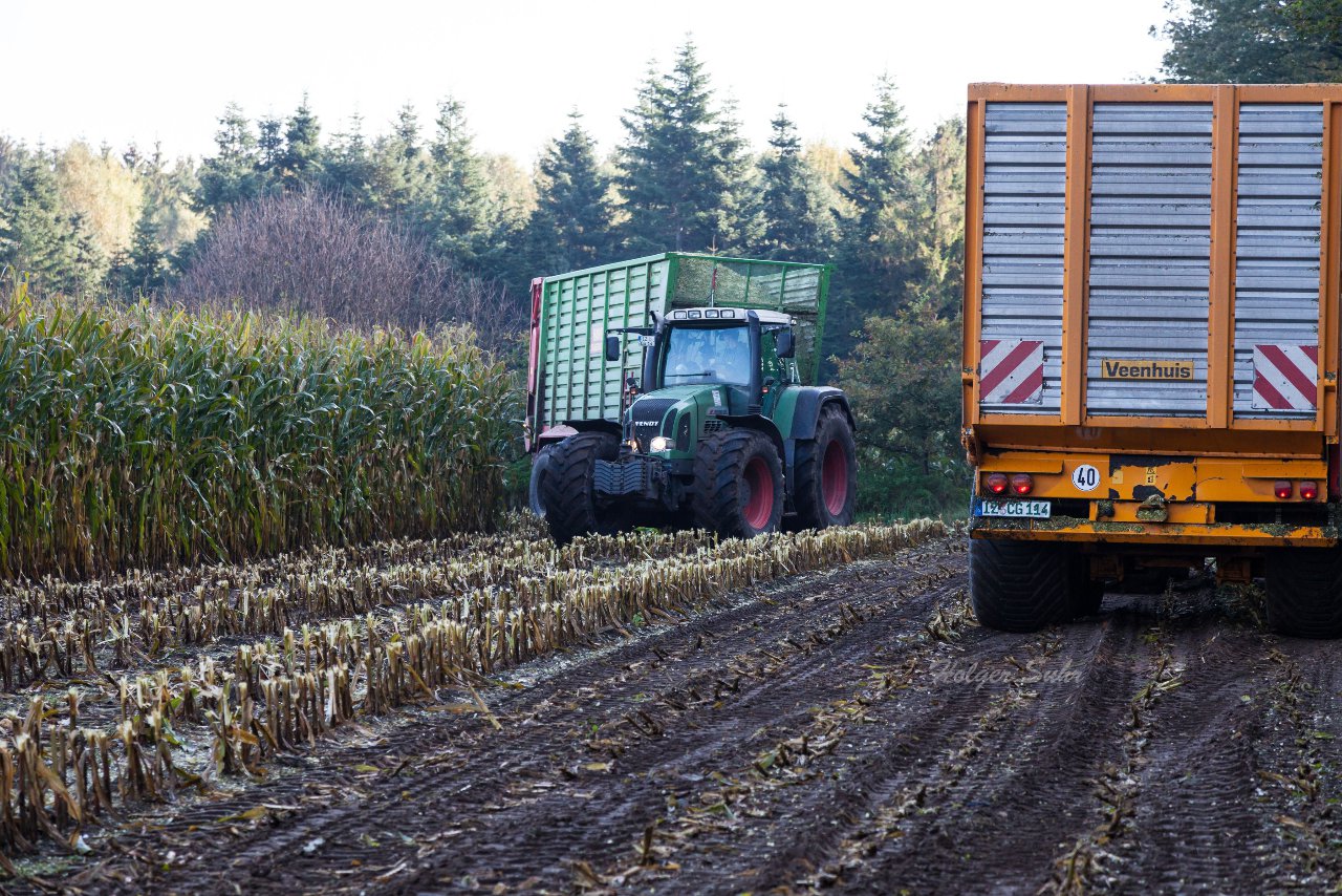 Bild 44 - Maisernte am 11.10.12